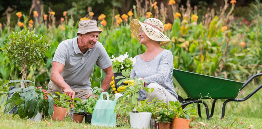 Happy senior couple gardening on a sunny day