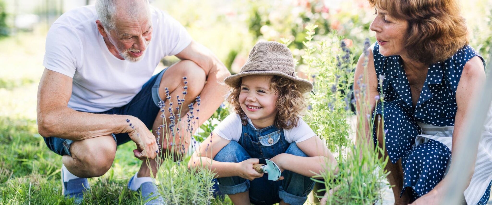 senior couple planting flowers in a garden with their grandchild