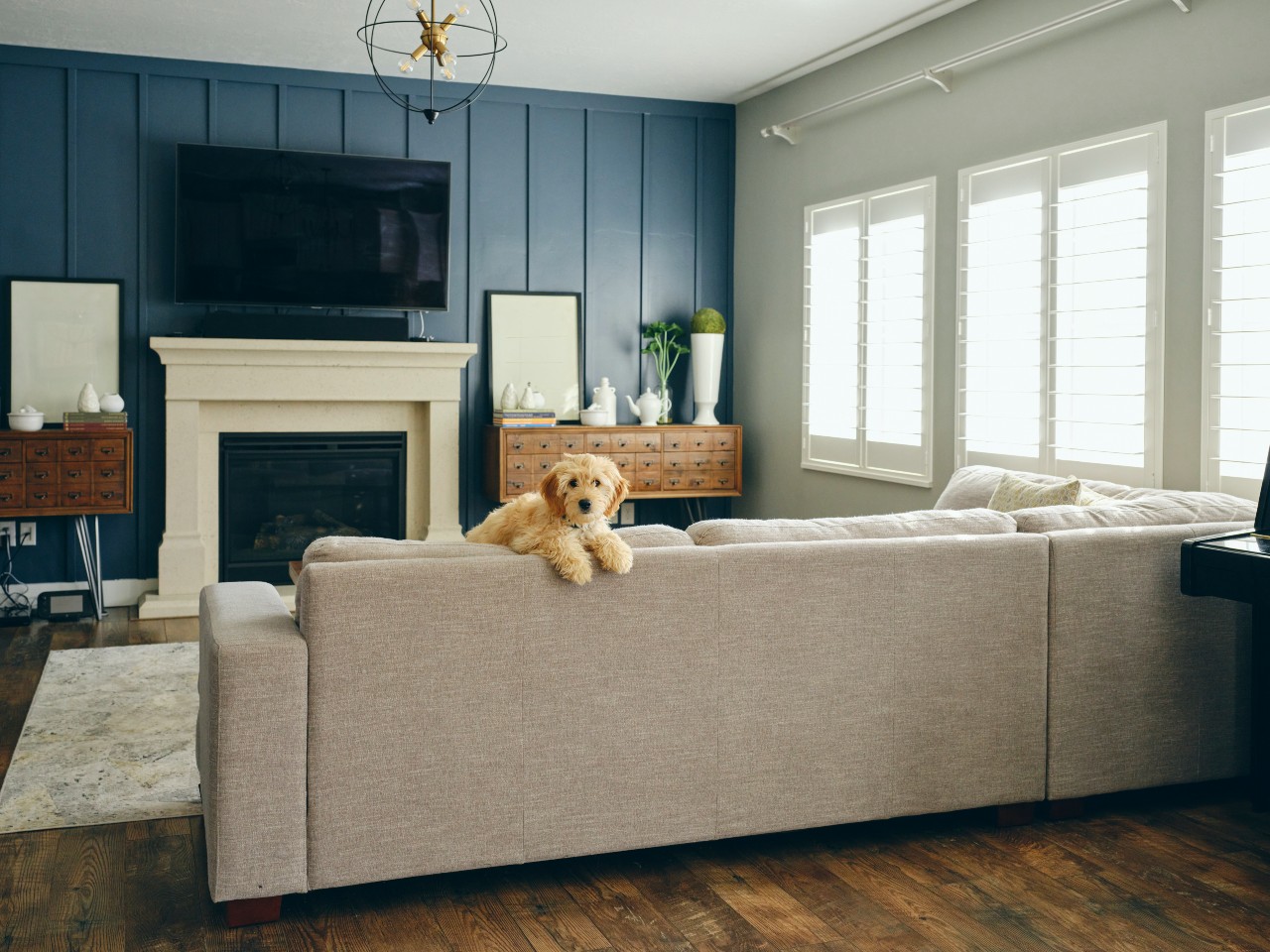 A dog looking over the back of a couch directly at the camera